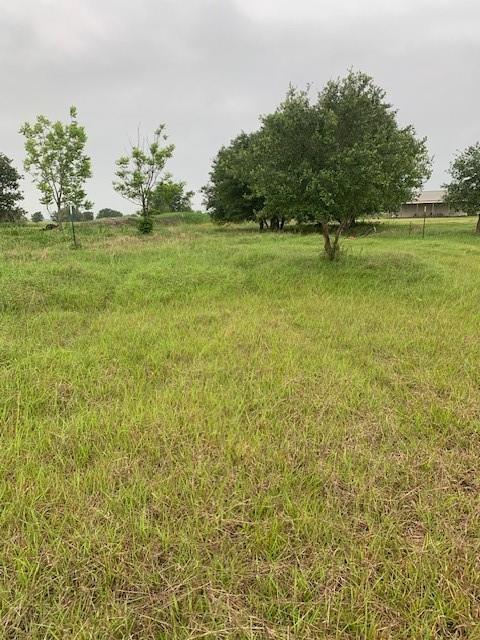 224 Cripple Creek Lane, Angleton, Texas image 3