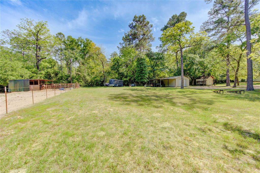 25903 Penguin Street, Magnolia, Texas image 10