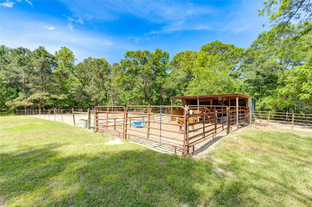25903 Penguin Street, Magnolia, Texas image 12