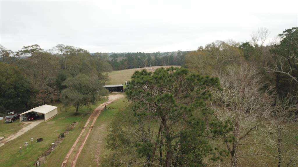 600 County Road 4309, Hillister, Texas image 9