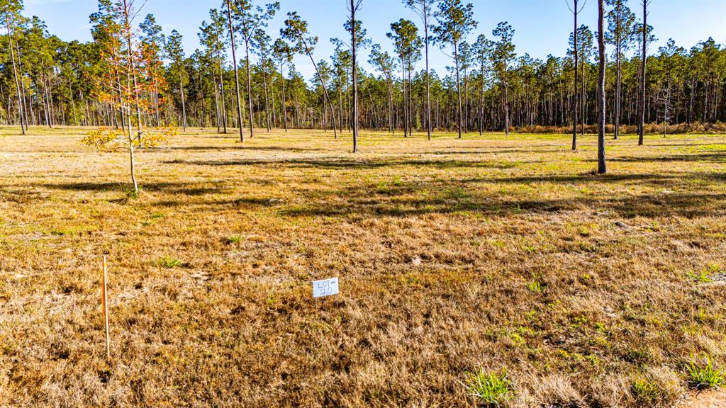 0020 Big Buck Drive, Moscow, Texas image 4