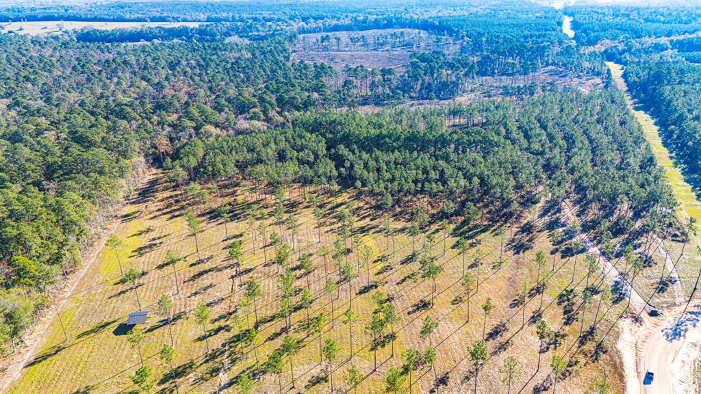 0020 Big Buck Drive, Moscow, Texas image 1