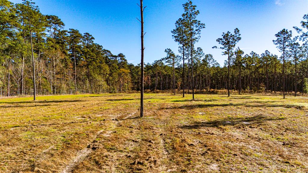 0020 Big Buck Drive, Moscow, Texas image 6