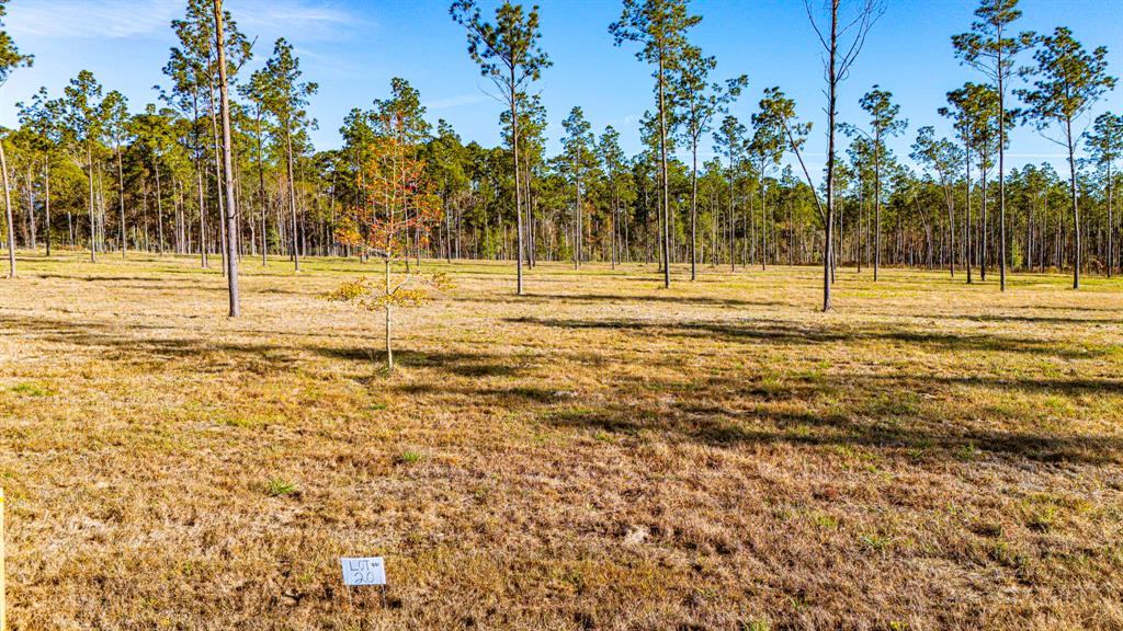 0020 Big Buck Drive, Moscow, Texas image 5