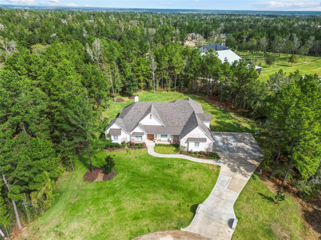 7519 Bingham Drive, Montgomery, Texas image 1