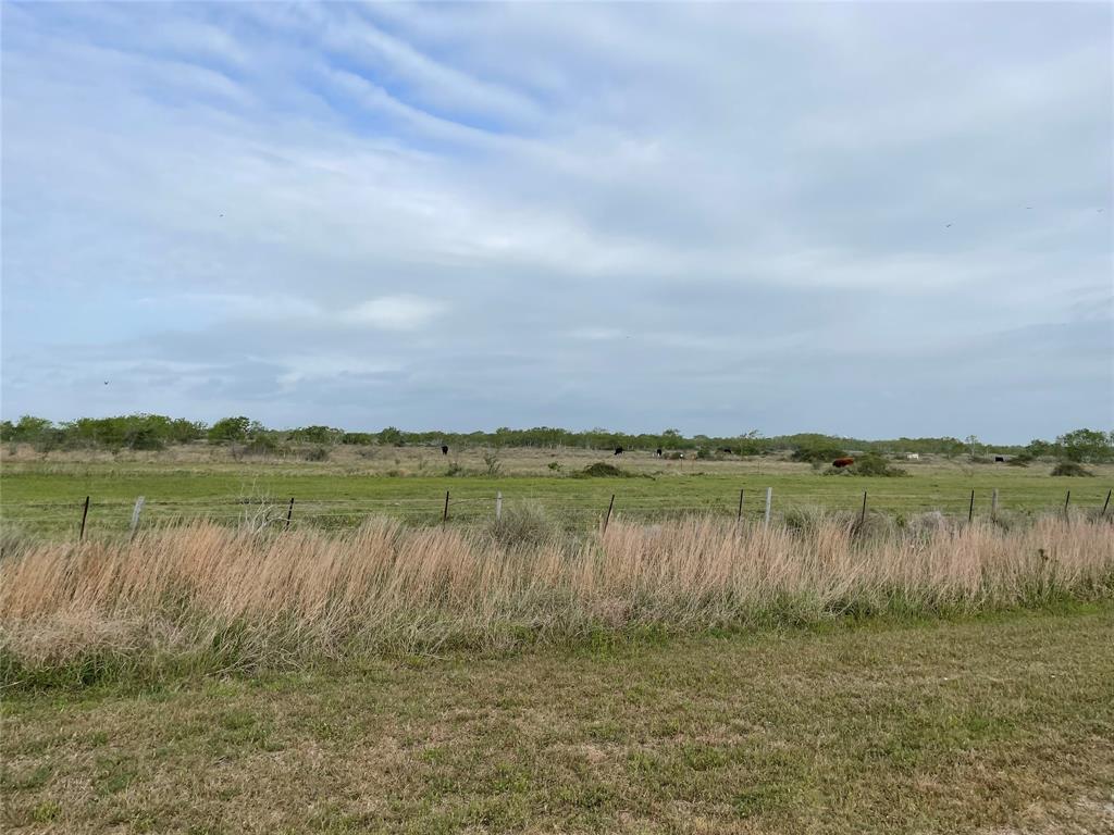 Harbor Dr, Hitchcock, Texas image 7