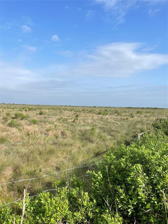 Harbor Dr, Hitchcock, Texas image 11