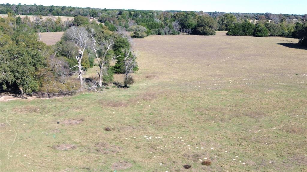 00 County Road 1885, Grapeland, Texas image 16