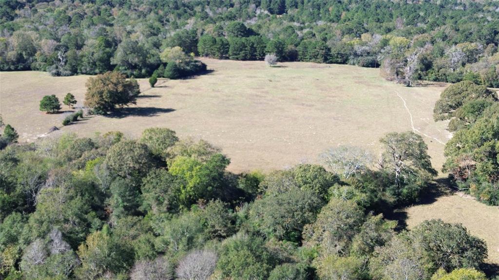 00 County Road 1885, Grapeland, Texas image 14