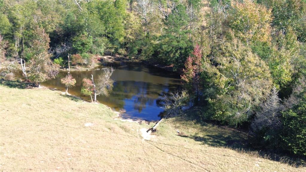 00 County Road 1885, Grapeland, Texas image 11