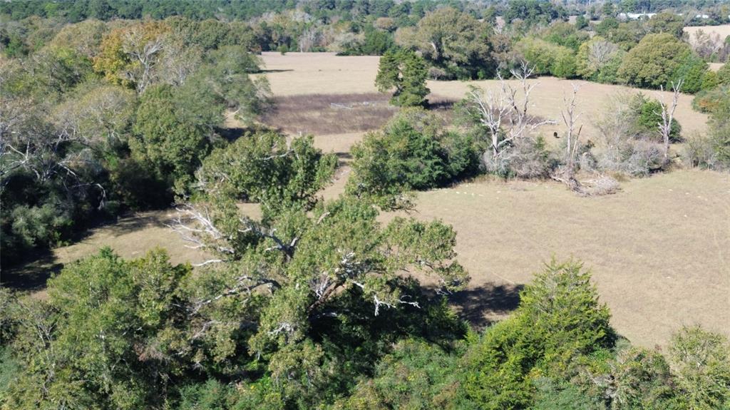 00 County Road 1885, Grapeland, Texas image 13