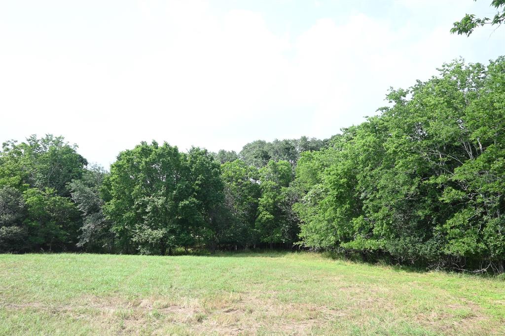 72 N Kessler Avenue, Schulenburg, Texas image 18