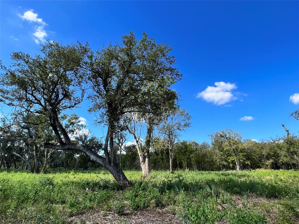 LOT 1 Cr 506, Brazoria, Texas image 10