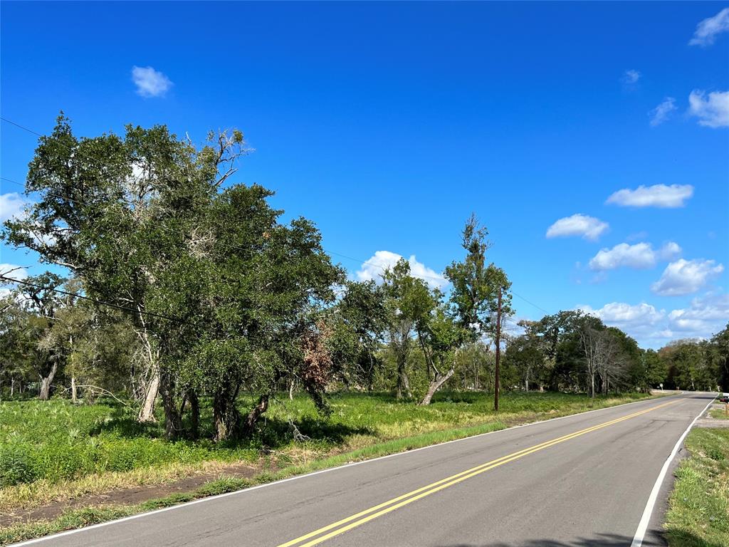 LOT 1 Cr 506, Brazoria, Texas image 2