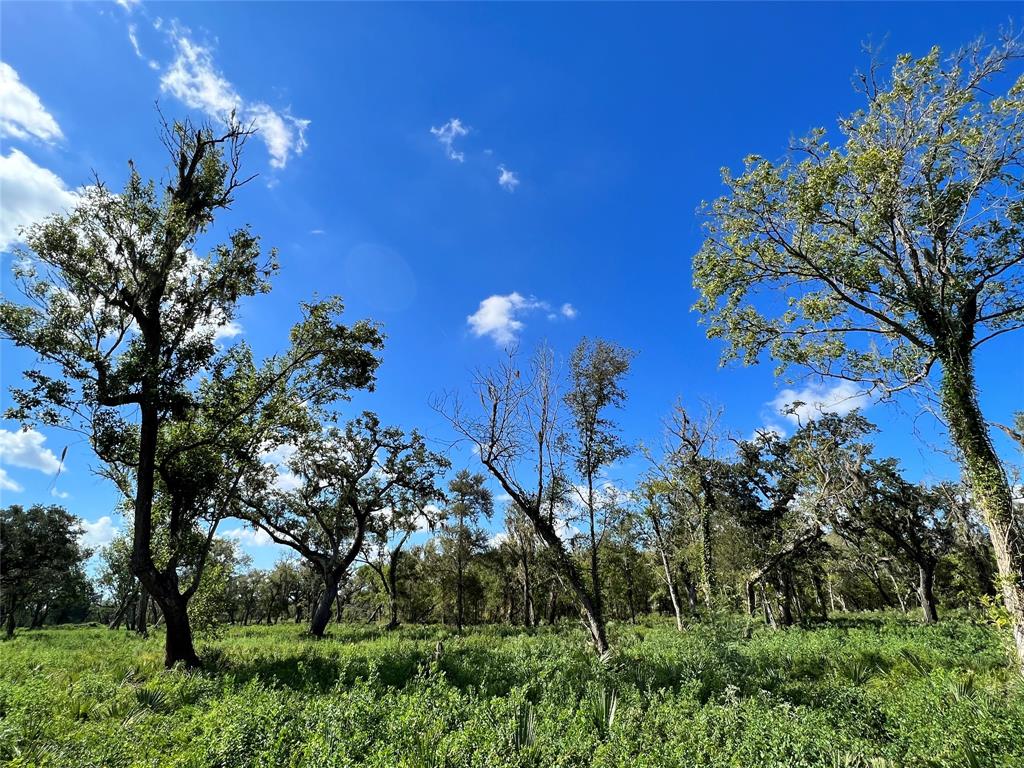 LOT 1 Cr 506, Brazoria, Texas image 11