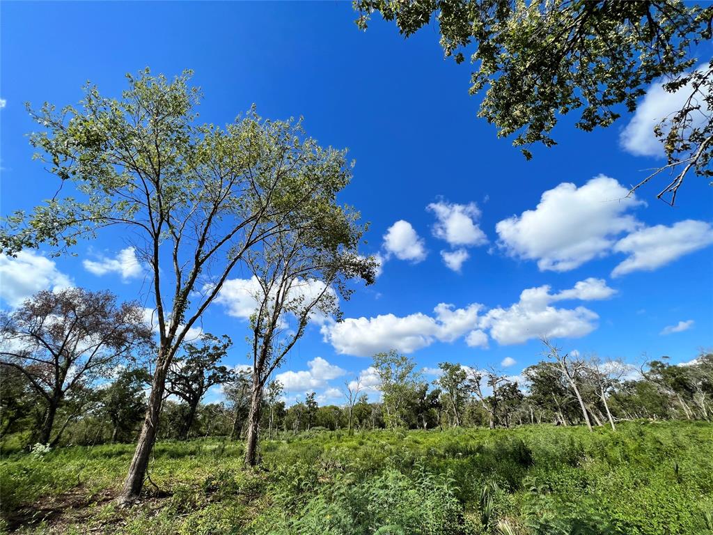 LOT 1 Cr 506, Brazoria, Texas image 1