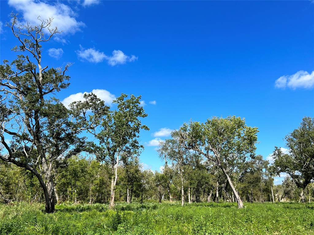 LOT 1 Cr 506, Brazoria, Texas image 3