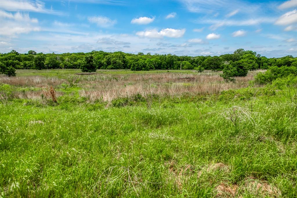 478 Brazos Court, Caldwell, Texas image 7