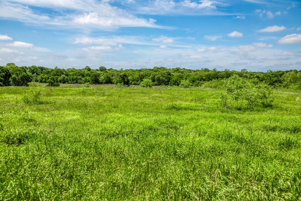 478 Brazos Court, Caldwell, Texas image 4