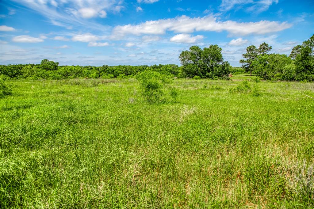 478 Brazos Court, Caldwell, Texas image 3