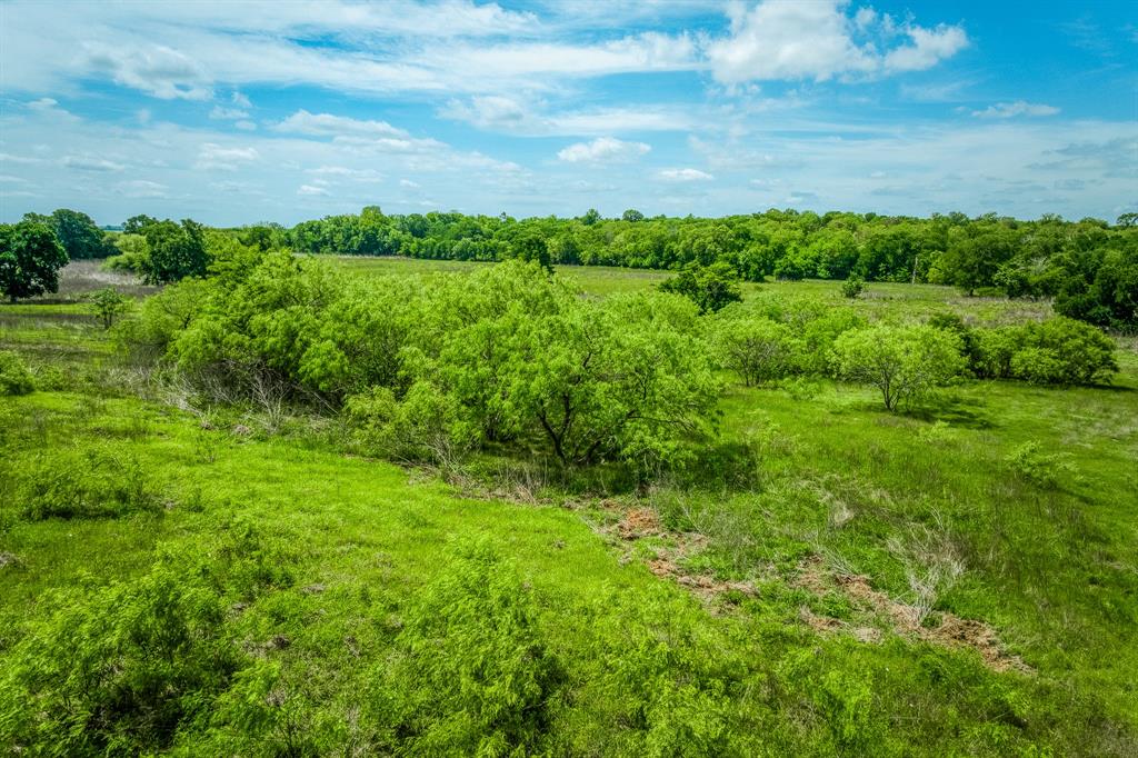 478 Brazos Court, Caldwell, Texas image 16