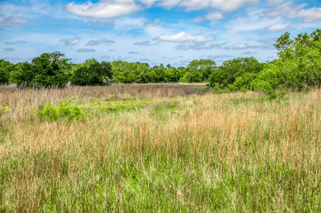 478 Brazos Court, Caldwell, Texas image 15