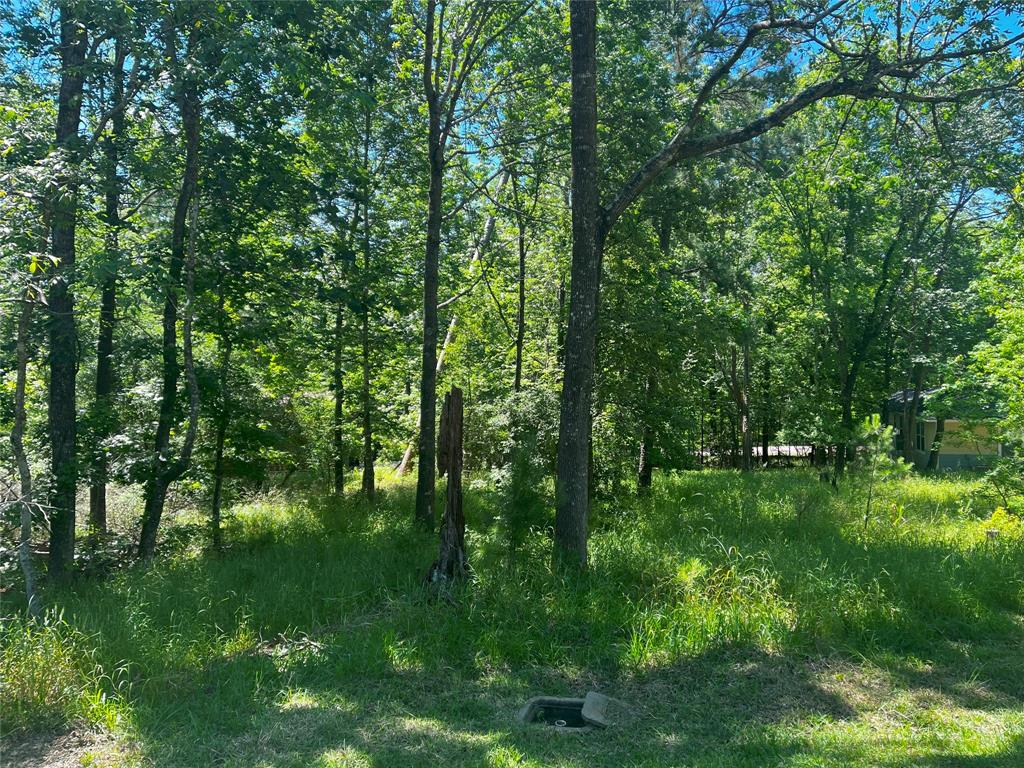 15 Cherry Hills Drive, Coldspring, Texas image 1