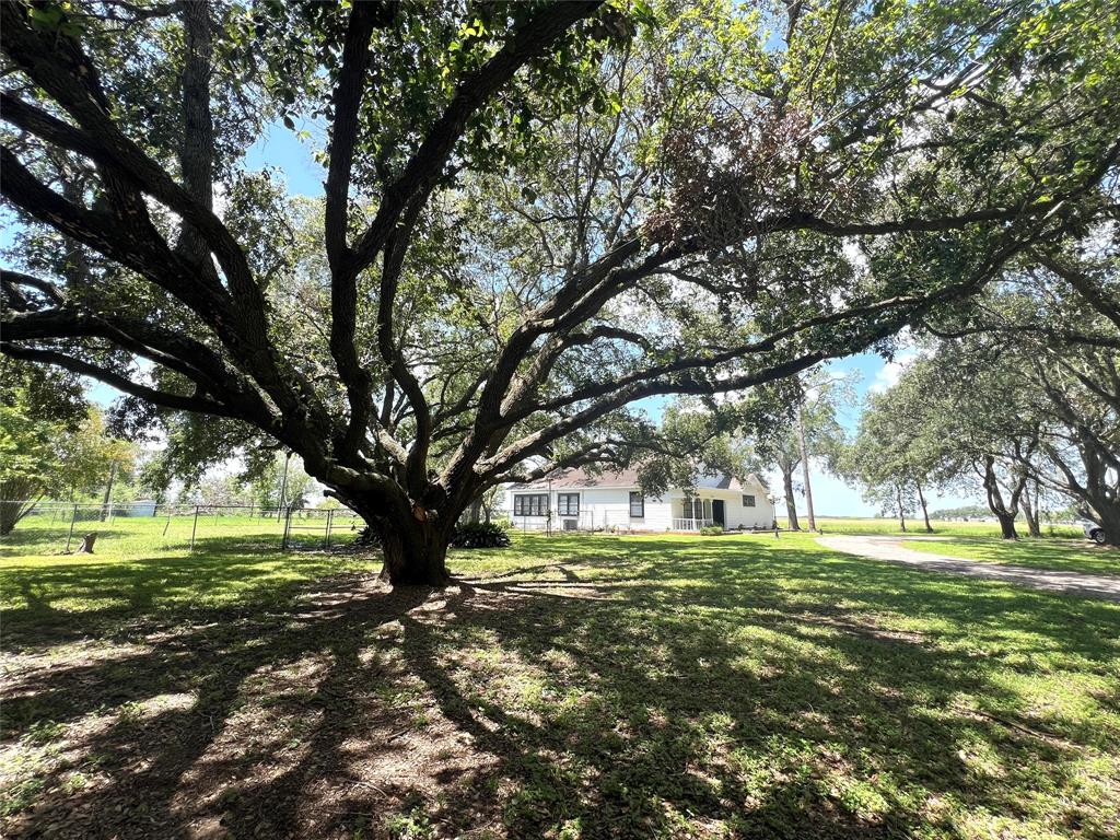 1901 West Norris, El Campo, Texas image 4