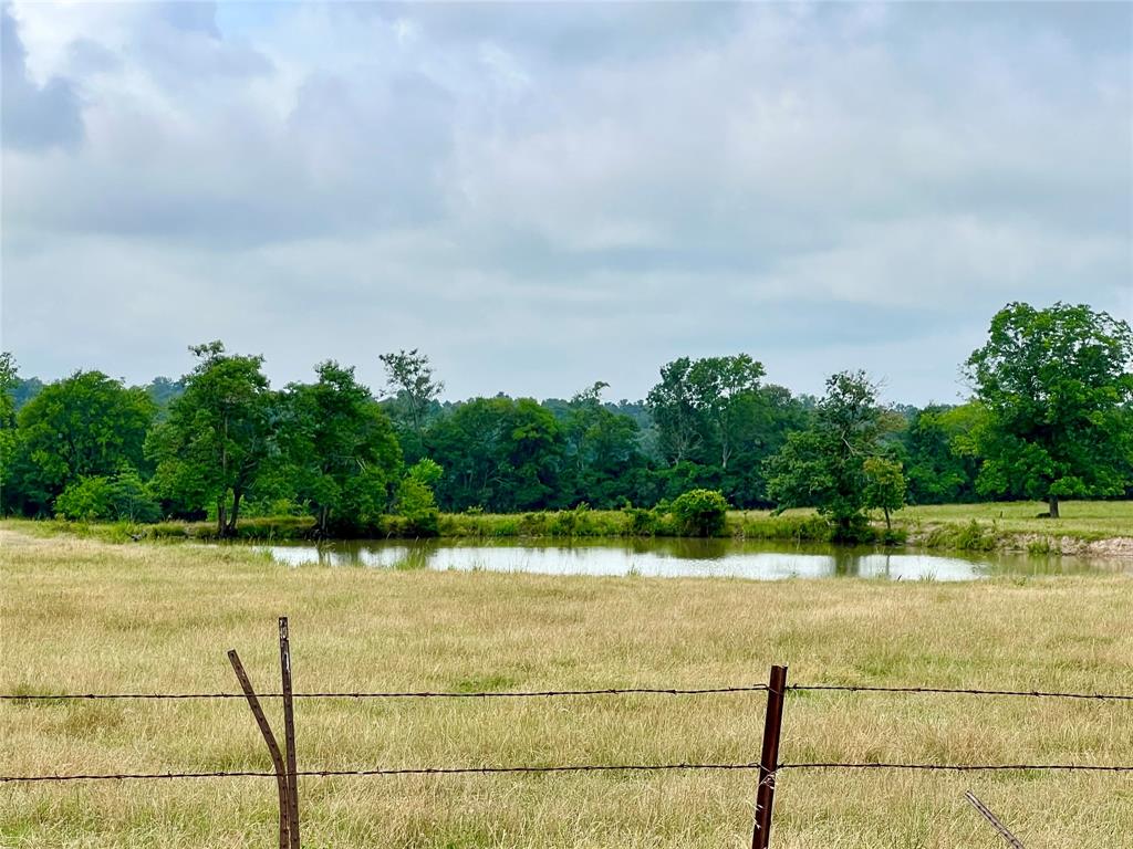 0000 County Road 4550, Pennington, Texas image 9