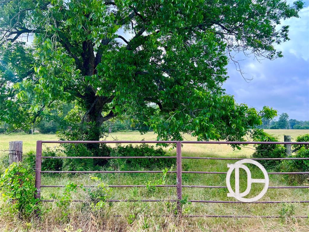 0000 County Road 4550, Pennington, Texas image 12