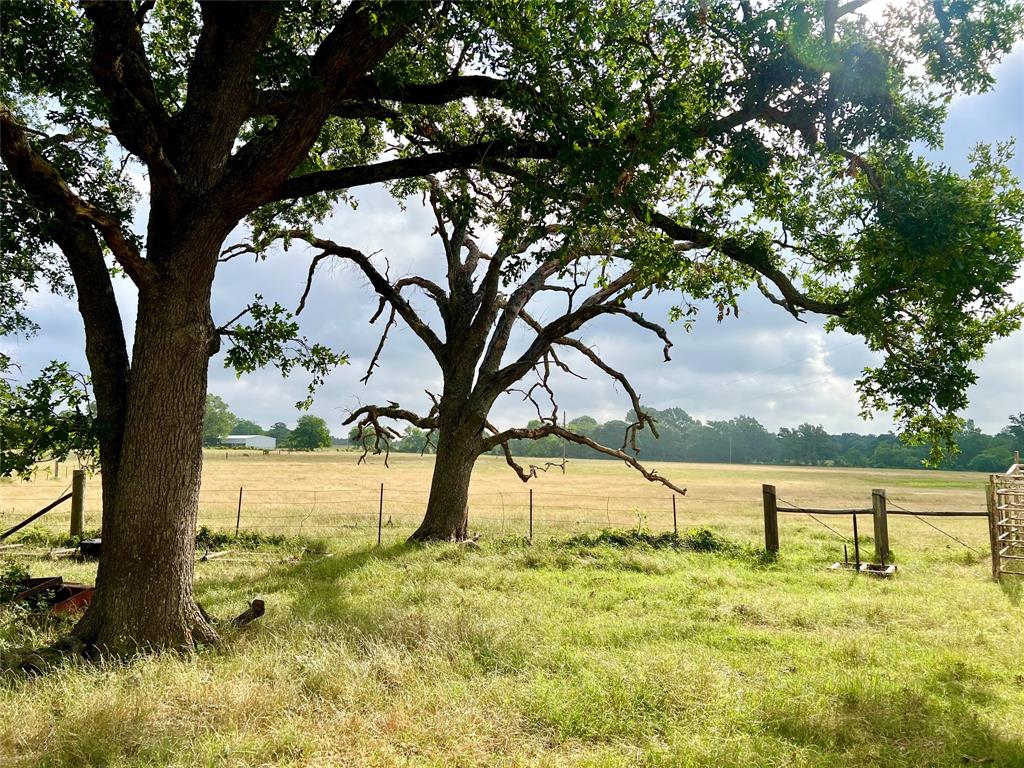 0000 County Road 4550, Pennington, Texas image 1