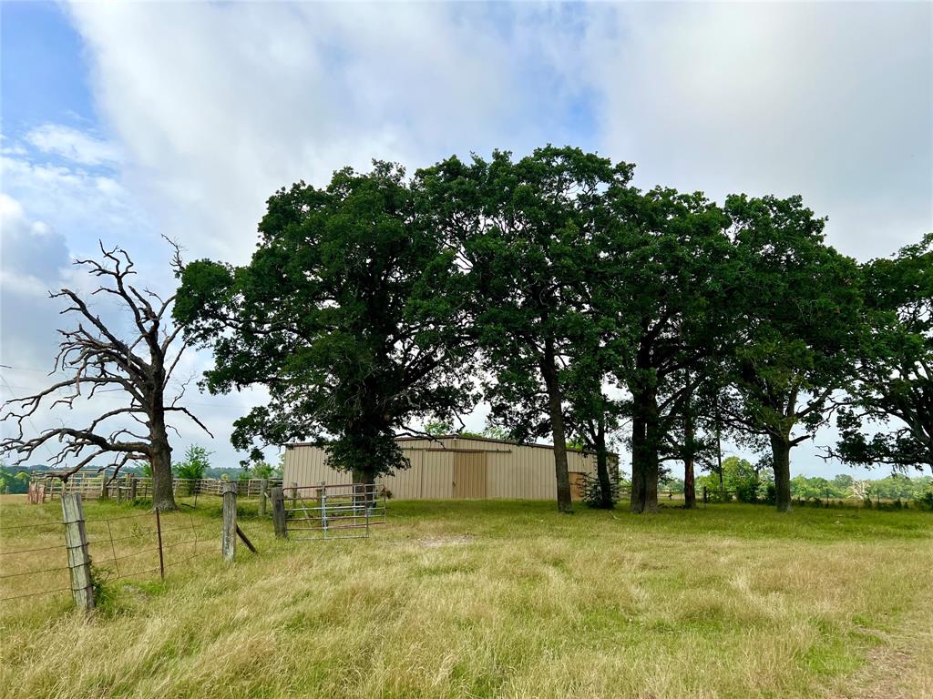 0000 County Road 4550, Pennington, Texas image 3