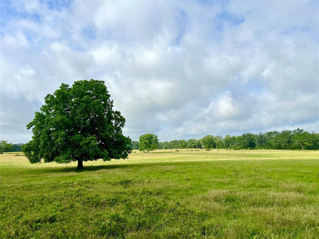 0000 County Road 4550, Pennington, Texas image 5