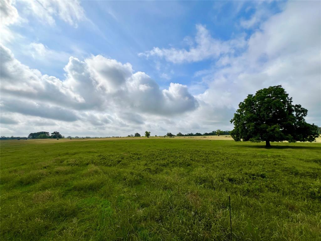 0000 County Road 4550, Pennington, Texas image 11