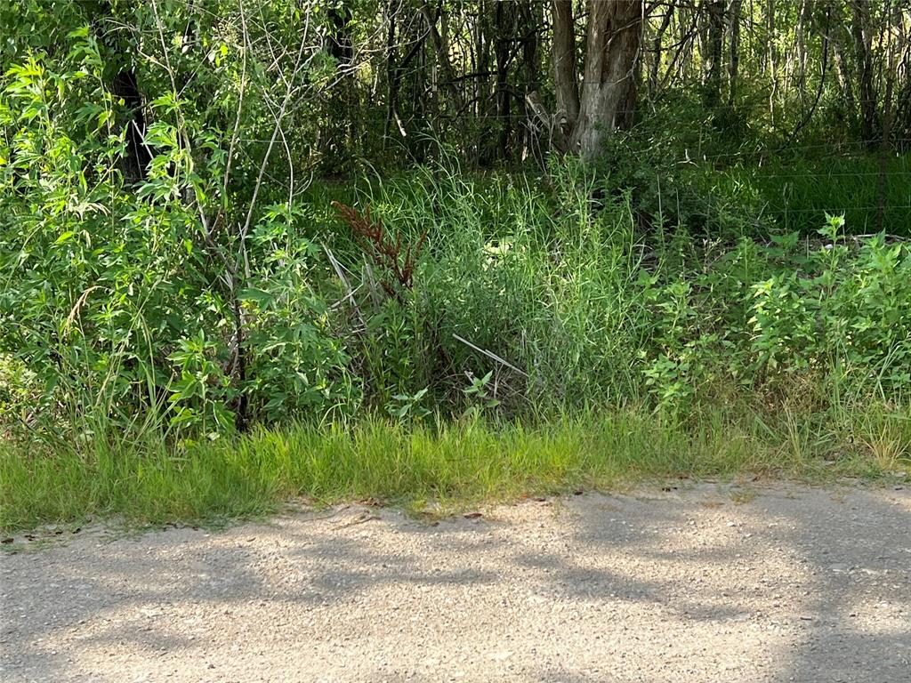 Haynes Road, Anahuac, Texas image 13