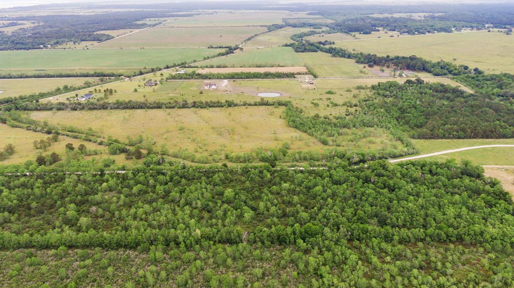 Haynes Road, Anahuac, Texas image 10