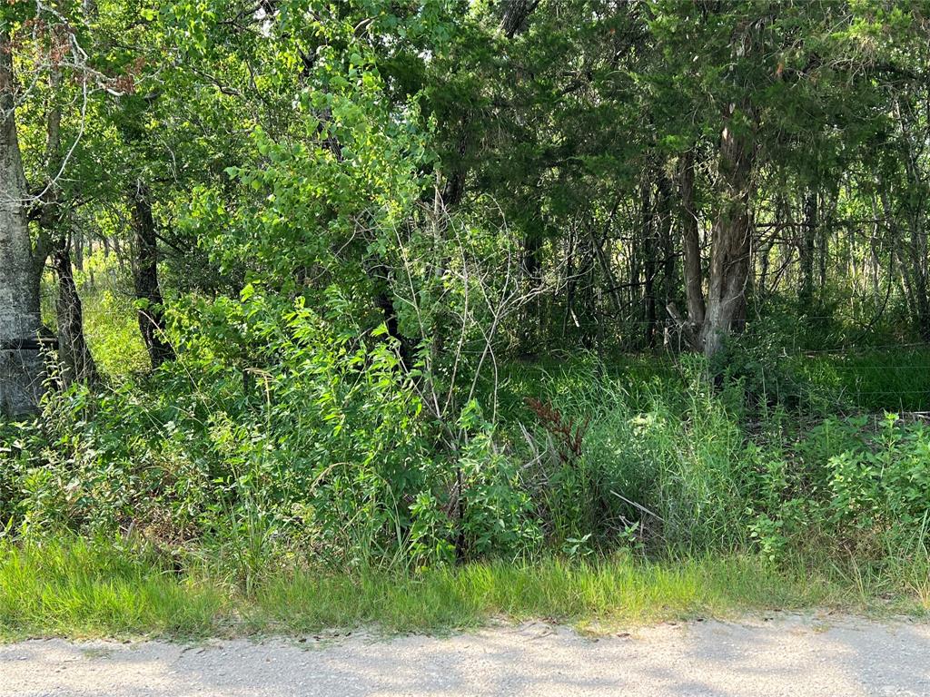 Haynes Road, Anahuac, Texas image 16