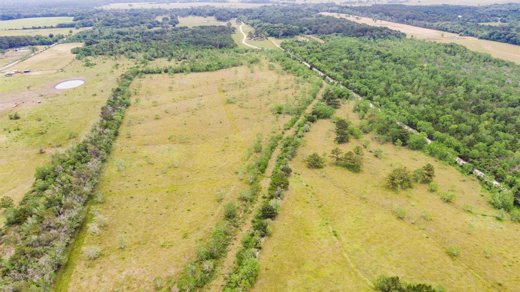 Haynes Road, Anahuac, Texas image 6