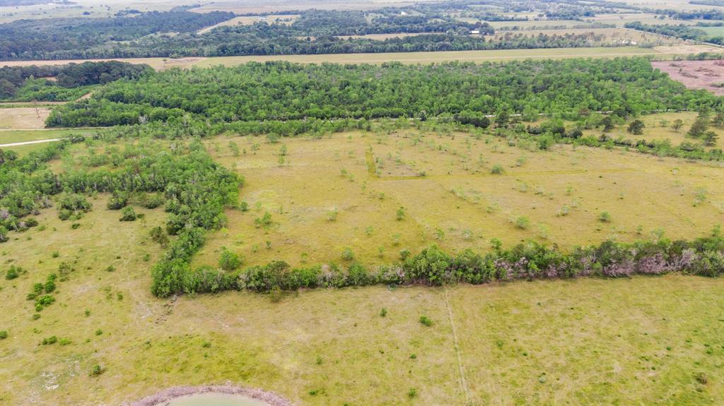 Haynes Road, Anahuac, Texas image 9