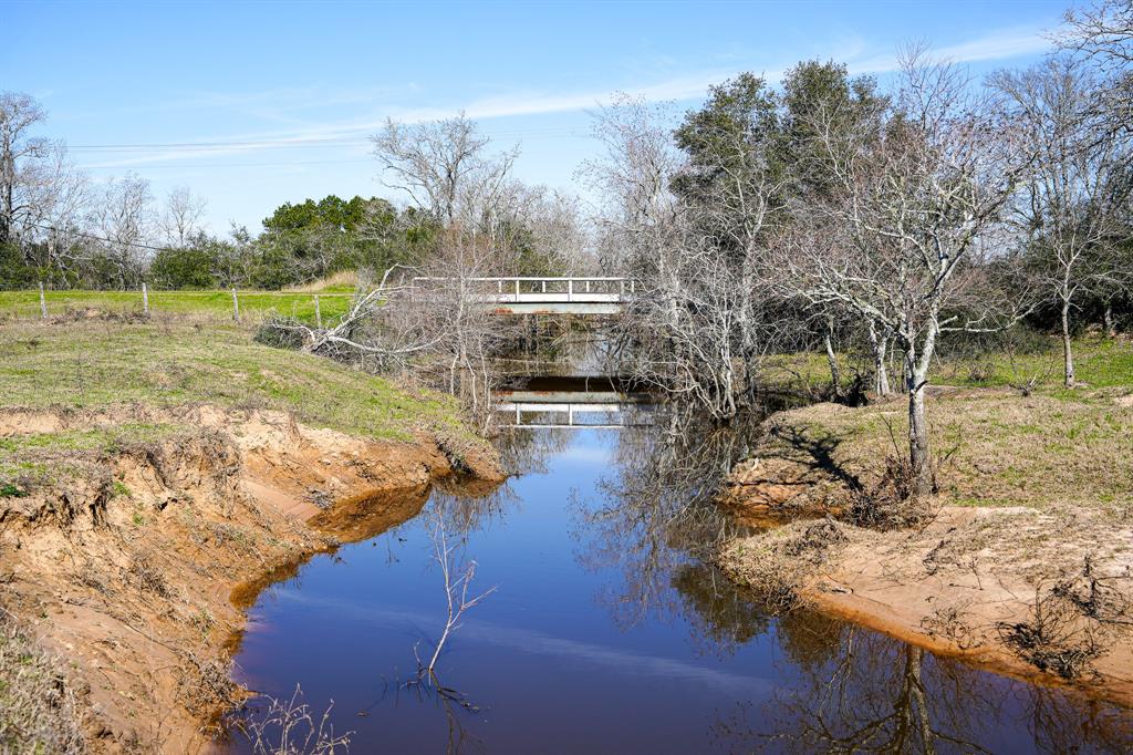 Bernardo Road, Cat Spring, Texas image 20