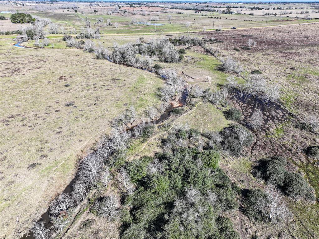 Bernardo Road, Cat Spring, Texas image 8