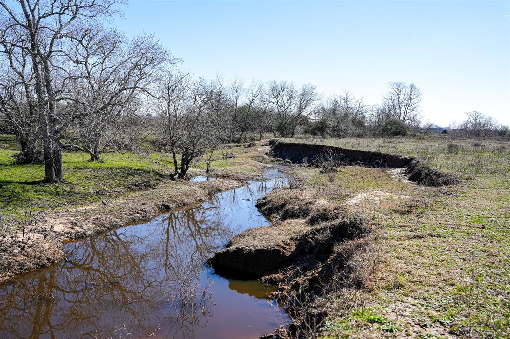 Bernardo Road, Cat Spring, Texas image 1