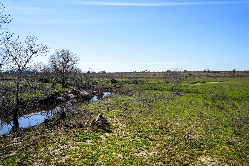 Bernardo Road, Cat Spring, Texas image 22