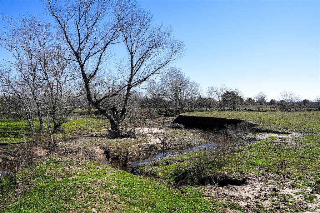 Bernardo Road, Cat Spring, Texas image 23