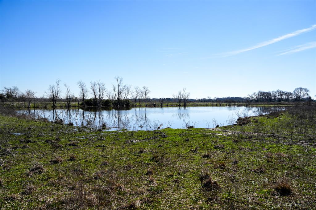 Bernardo Road, Cat Spring, Texas image 24