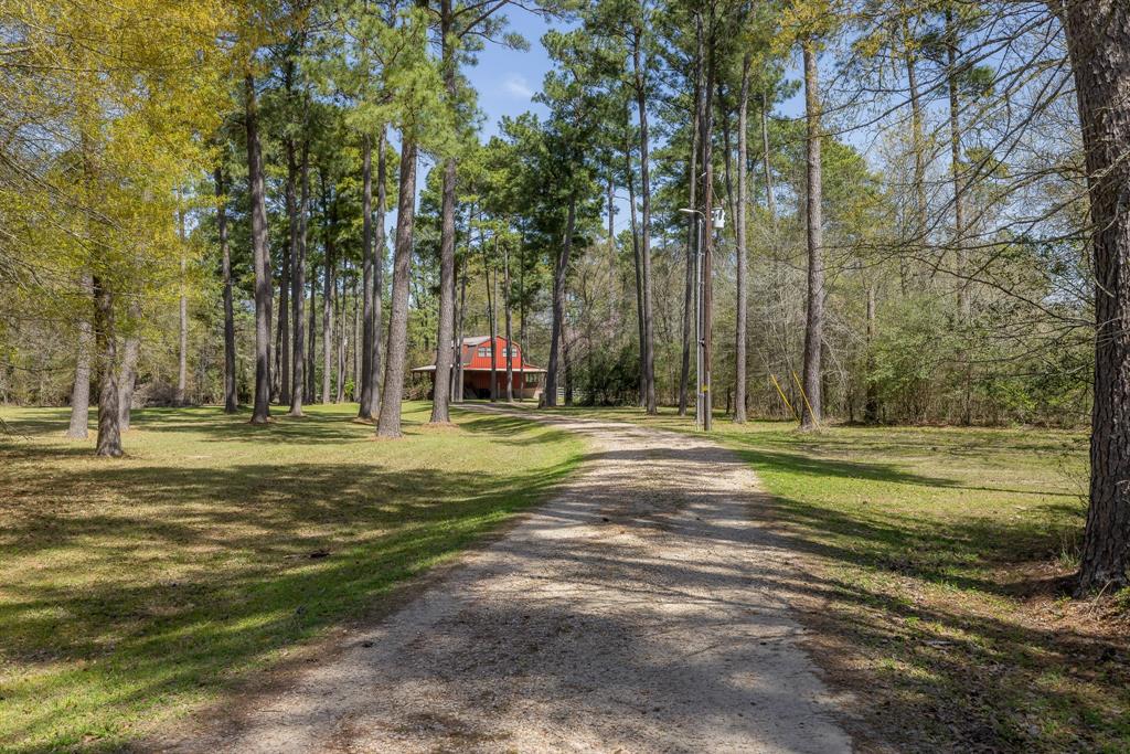 6930 Cr 146, Bedias, Texas image 24