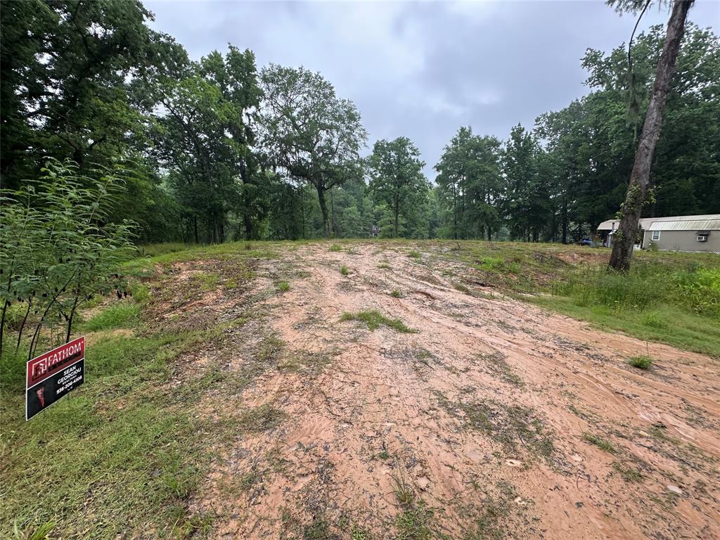 454 Lakeview Drive, Cleveland, Texas image 6