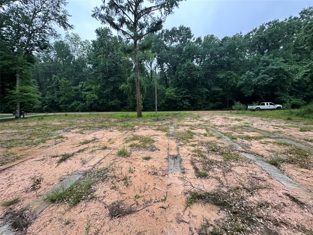 454 Lakeview Drive, Cleveland, Texas image 3