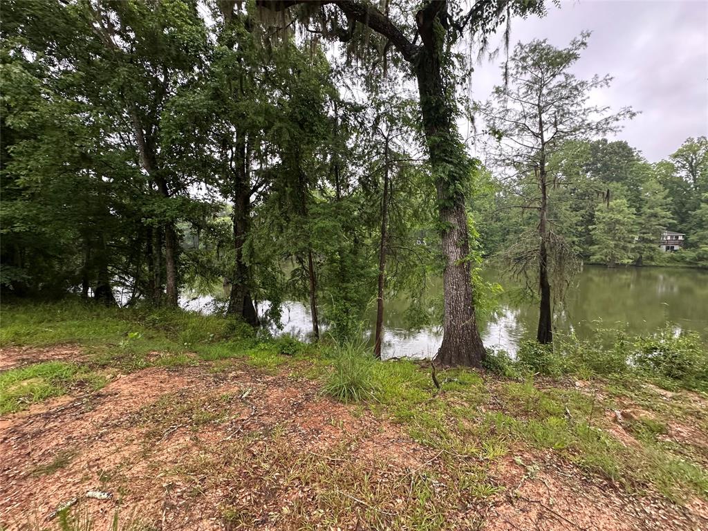 454 Lakeview Drive, Cleveland, Texas image 4