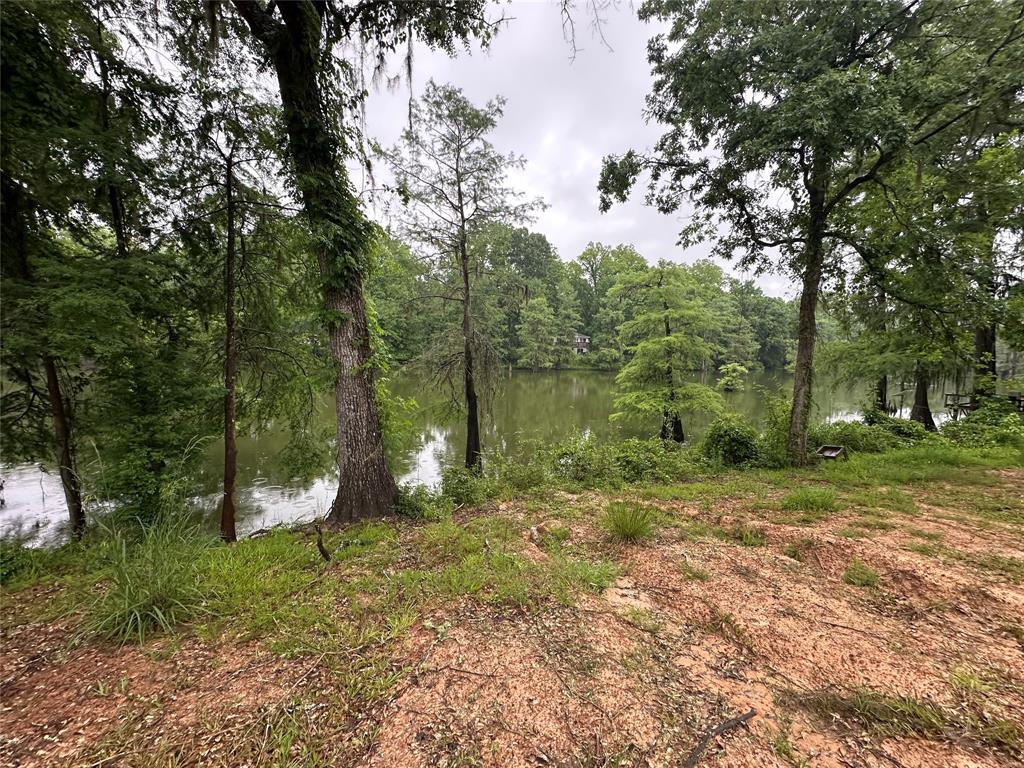 454 Lakeview Drive, Cleveland, Texas image 2